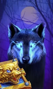Book Of The Night Wolf