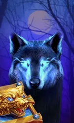 Book Of The Night Wolf